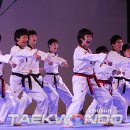 경희대 호돌이 태권도장 이미지