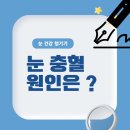 안양왕약국 이미지