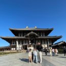 건강나라사슴목장 | 일본 교토와 나라 여행기 - 동대사(도다이지)에서 역사 감탄, 나라에는 사슴한테 공격당함