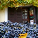 라프푸드코트 이미지