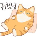 아델라헤어샵 이미지