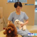 지오동물병원 이미지