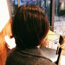 헤어바이호시 이미지