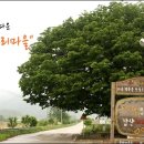 갑산1리 이미지