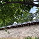 경희약국 | 종로약국성지 보령약국 임신바우처 사용 후기