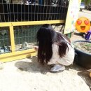 골든목장 이미지