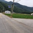 정선공인중개사사무소 이미지