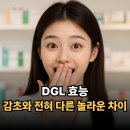 감초로 | DGL 효능, 감초와 전혀 다른 놀라운 차이