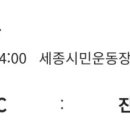 세종시민운동장 보조구장 이미지