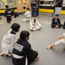 용인대 합기도 주짓수 이미지