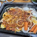 황금오리 이미지