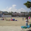 간성초등학교 이미지