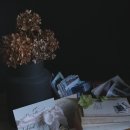 영문캘리모던서체 이미지