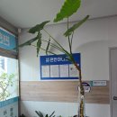 남원마디의원 이미지