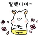스코넬리