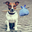 프로컴퓨터세탁 이미지