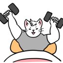 종로쭈꾸미굴화점 이미지