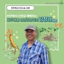 산삼과산야초