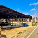 창녕축산 이미지