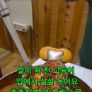 대일투어로 이미지