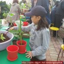 삼성농장 2 이미지