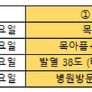 김수진내과의원 네이버블로그