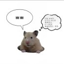 뜻밖의 발견 이미지