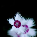 구름이머무는곳 이미지