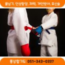 룡상합기도