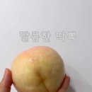 과일나라 앞 이미지