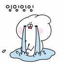 스파 라온제나