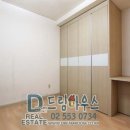 동양라디안루키 티스토리