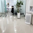 세종세무회계 이미지