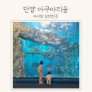 단양 아쿠아리움 다누리아쿠아리움 단양 여행코스