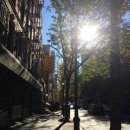 &lt;151017&gt; New york (4) 높은 뉴욕 노을은 못 볼 운명