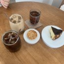 시옽 | [제주도/서귀포] 아늑한 공간이 좋았던 카페 '시옽'