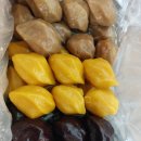 푸른떡공방