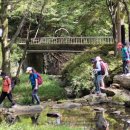 고성공룡나라(통영) 이미지