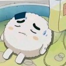 먹밥
