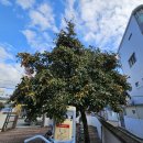 동천경로당 이미지