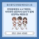 KAT태권도 이미지