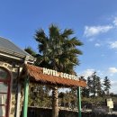 제주호텔코코트리 2박 3일 솔직후기🌴(자쿠지, 예약방법, 주차, 위치, 가격 등)
