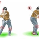 G골프스튜디오 이미지