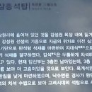 안성공원 삼층석탑 이미지