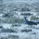 지토농장 이미지