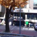 사파동121 이미지