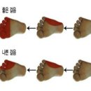 페록스신발