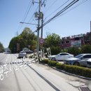 더힘찬장어 이미지