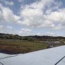 2186 | 오카야마 여행, 오카야마 - 인천 대한항공 KE2186 기내식 탑승후기