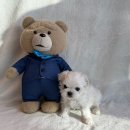 도그마루 강아지 고양이 울산점 이미지